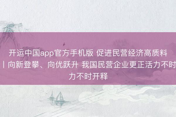 开运中国app官方手机版 促进民营经济高质料发展丨向新登攀、向优跃升 我国民营企业更正活力不时开释