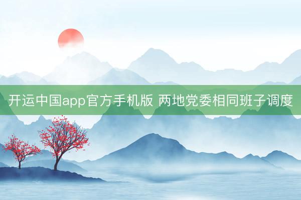 开运中国app官方手机版 两地党委相同班子调度