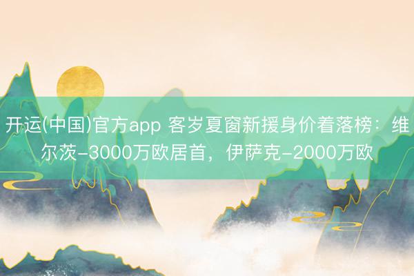 开运(中国)官方app 客岁夏窗新援身价着落榜：维尔茨-3000万欧居首，伊萨克-2000万欧