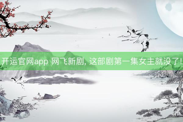 开运官网app 网飞新剧， 这部剧第一集女主就没了!