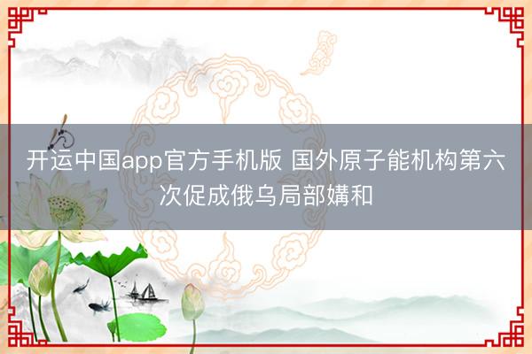 开运中国app官方手机版 国外原子能机构第六次促成俄乌局部媾和